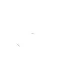Einlegesohlen